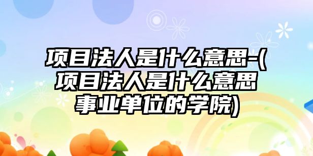 項目法人是什么意思-(項目法人是什么意思事業(yè)單位的學(xué)院)