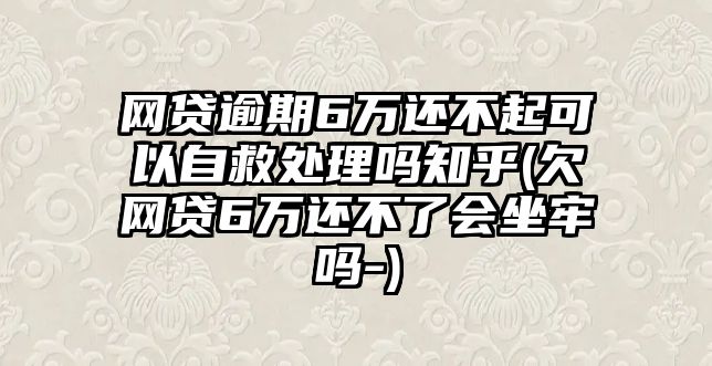 網(wǎng)貸逾期6萬還不起可以自救處理嗎知乎(欠網(wǎng)貸6萬還不了會坐牢嗎-)