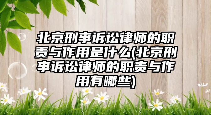 北京刑事訴訟律師的職責與作用是什么(北京刑事訴訟律師的職責與作用有哪些)