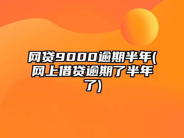 網貸9000逾期半年(網上借貸逾期了半年了)