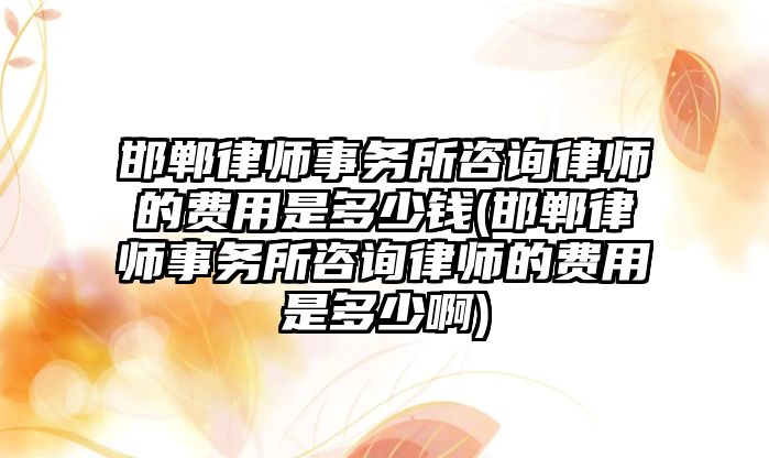 邯鄲律師事務所咨詢律師的費用是多少錢(邯鄲律師事務所咨詢律師的費用是多少啊)