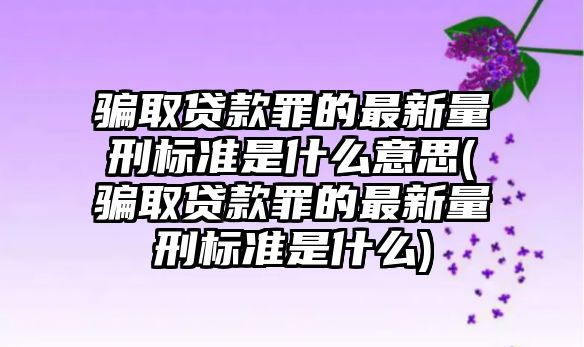 騙取貸款罪的最新量刑標準是什么意思(騙取貸款罪的最新量刑標準是什么)