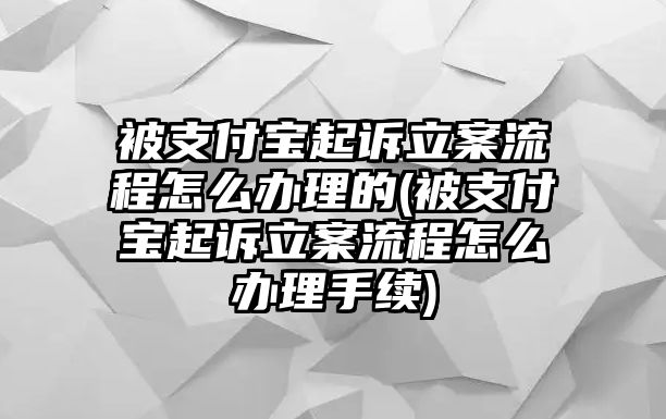 被支付寶起訴立案流程怎么辦理的(被支付寶起訴立案流程怎么辦理手續)