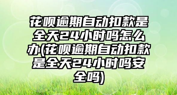 花唄逾期自動扣款是全天24小時嗎怎么辦(花唄逾期自動扣款是全天24小時嗎安全嗎)