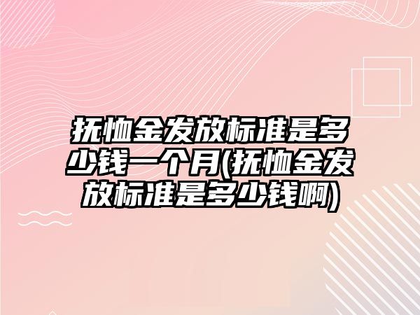 撫恤金發(fā)放標(biāo)準(zhǔn)是多少錢一個(gè)月(撫恤金發(fā)放標(biāo)準(zhǔn)是多少錢啊)