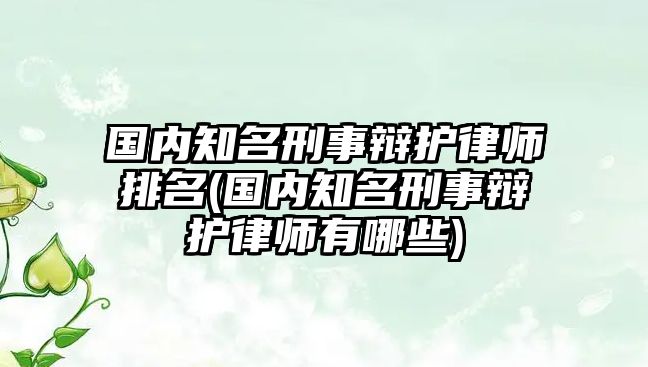 國內知名刑事辯護律師排名(國內知名刑事辯護律師有哪些)