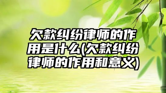 欠款糾紛律師的作用是什么(欠款糾紛律師的作用和意義)