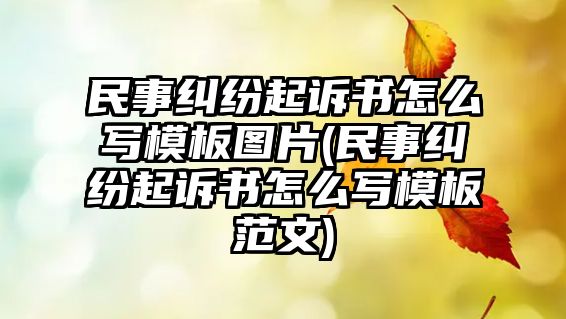 民事糾紛起訴書怎么寫模板圖片(民事糾紛起訴書怎么寫模板范文)