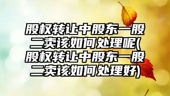 股權轉讓中股東一股二賣該如何處理呢(股權轉讓中股東一股二賣該如何處理好)