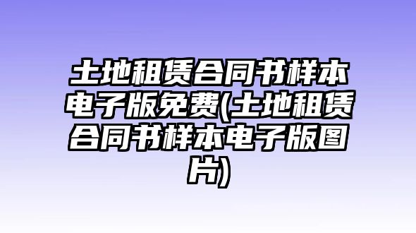 土地租賃合同書樣本電子版免費(土地租賃合同書樣本電子版圖片)