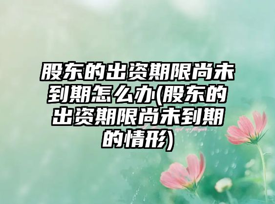 股東的出資期限尚未到期怎么辦(股東的出資期限尚未到期的情形)