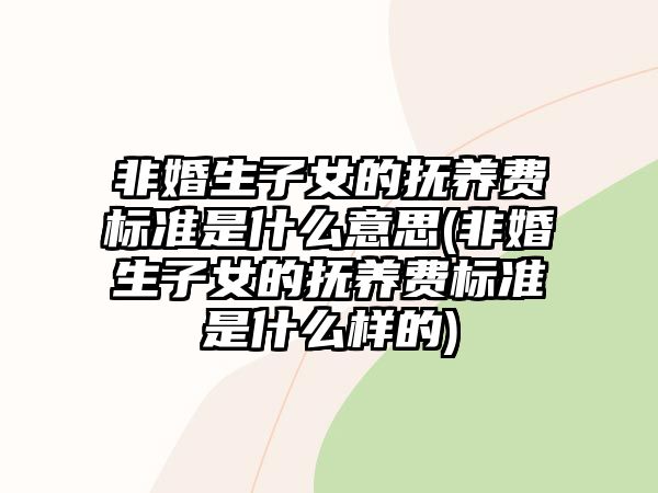 非婚生子女的撫養(yǎng)費(fèi)標(biāo)準(zhǔn)是什么意思(非婚生子女的撫養(yǎng)費(fèi)標(biāo)準(zhǔn)是什么樣的)