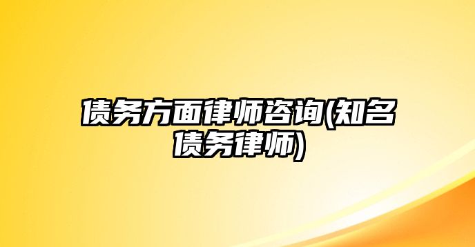 債務(wù)方面律師咨詢(知名債務(wù)律師)