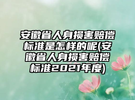 安徽省人身損害賠償標準是怎樣的呢(安徽省人身損害賠償標準2021年度)