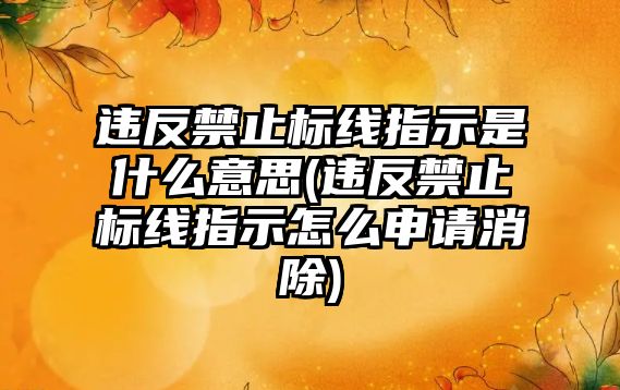 違反禁止標線指示是什么意思(違反禁止標線指示怎么申請消除)