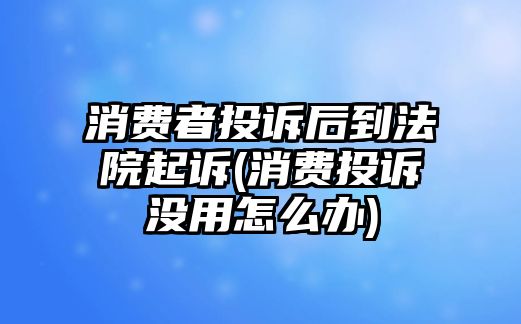 消費(fèi)者投訴后到法院起訴(消費(fèi)投訴沒用怎么辦)