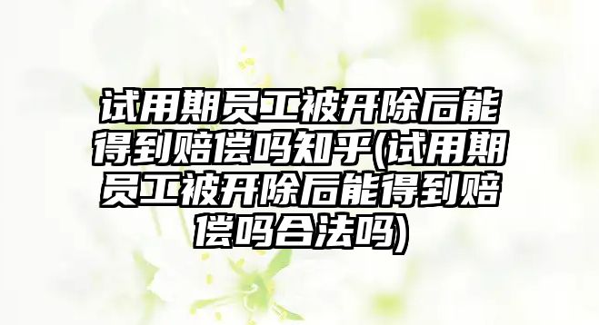 試用期員工被開除后能得到賠償嗎知乎(試用期員工被開除后能得到賠償嗎合法嗎)