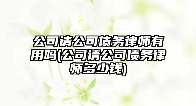 公司請公司債務(wù)律師有用嗎(公司請公司債務(wù)律師多少錢)