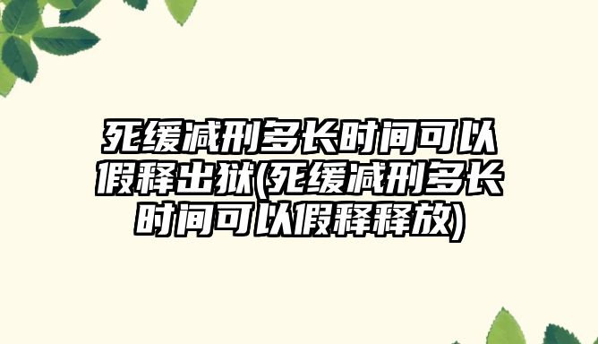 死緩減刑多長時間可以假釋出獄(死緩減刑多長時間可以假釋釋放)