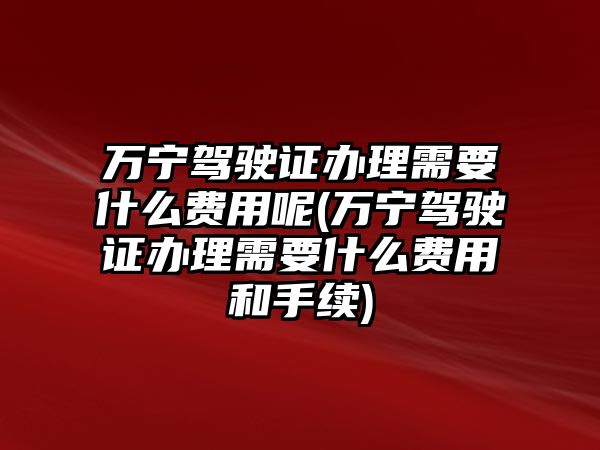 萬寧駕駛證辦理需要什么費用呢(萬寧駕駛證辦理需要什么費用和手續)