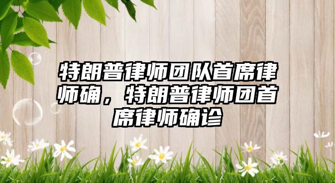 特朗普律師團隊首席律師確，特朗普律師團首席律師確診