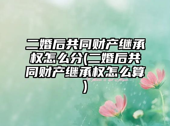 二婚后共同財產(chǎn)繼承權(quán)怎么分(二婚后共同財產(chǎn)繼承權(quán)怎么算)