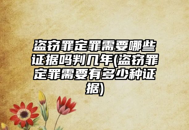 盜竊罪定罪需要哪些證據(jù)嗎判幾年(盜竊罪定罪需要有多少種證據(jù))