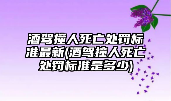 酒駕撞人死亡處罰標準最新(酒駕撞人死亡處罰標準是多少)