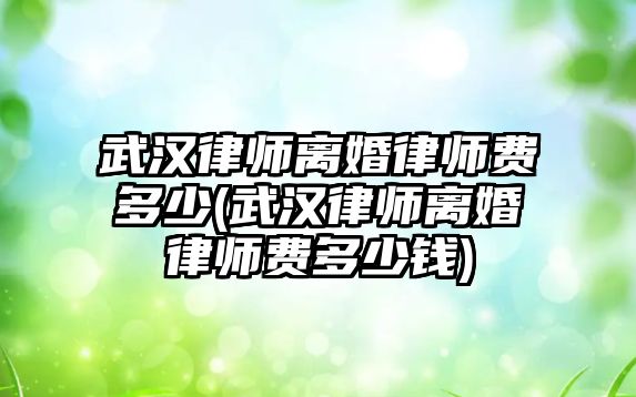 武漢律師離婚律師費(fèi)多少(武漢律師離婚律師費(fèi)多少錢)