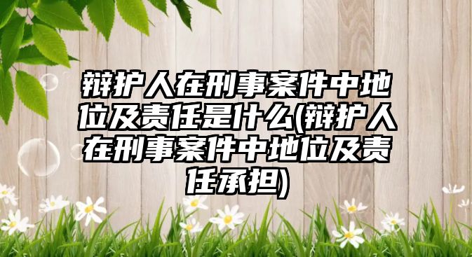 辯護人在刑事案件中地位及責(zé)任是什么(辯護人在刑事案件中地位及責(zé)任承擔(dān))