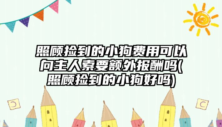 照顧撿到的小狗費用可以向主人索要額外報酬嗎(照顧撿到的小狗好嗎)