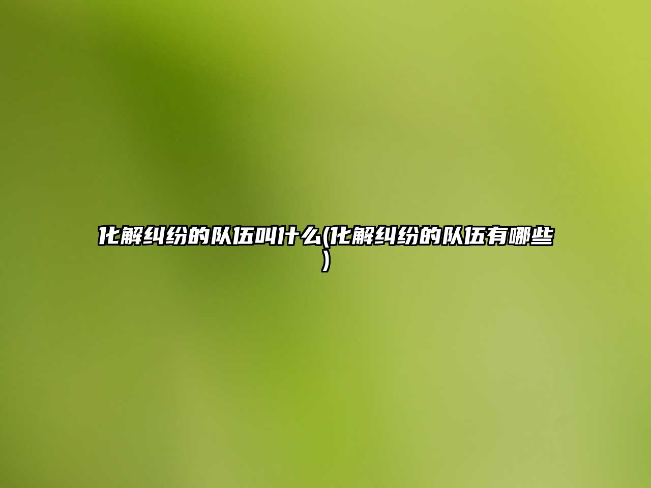 化解糾紛的隊伍叫什么(化解糾紛的隊伍有哪些)