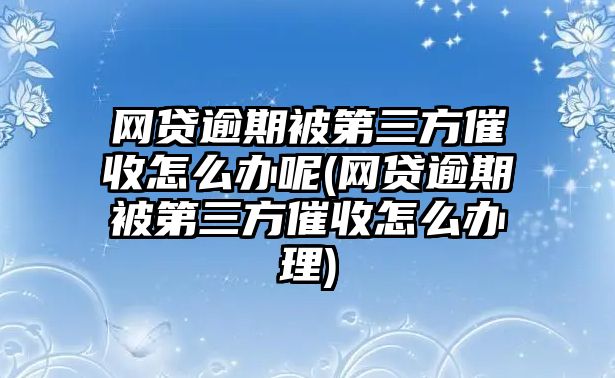 網貸逾期被第三方催收怎么辦呢(網貸逾期被第三方催收怎么辦理)