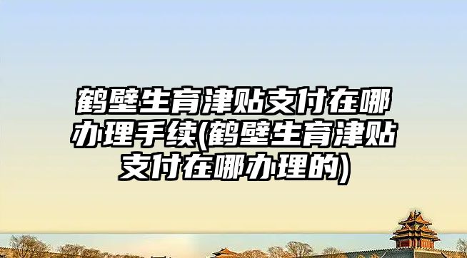 鶴壁生育津貼支付在哪辦理手續(鶴壁生育津貼支付在哪辦理的)