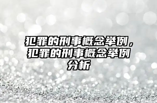 犯罪的刑事概念舉例，犯罪的刑事概念舉例分析