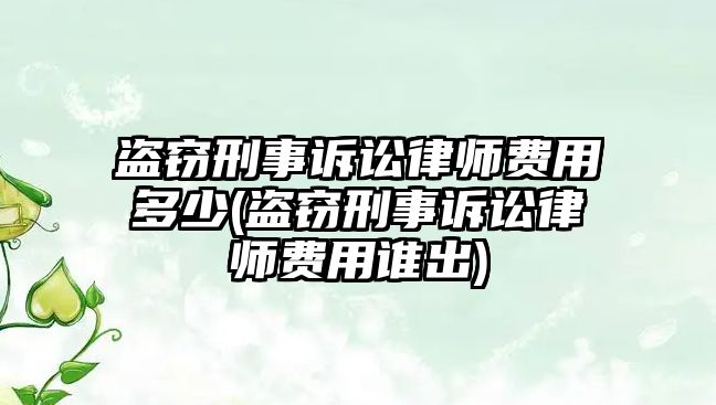 盜竊刑事訴訟律師費用多少(盜竊刑事訴訟律師費用誰出)