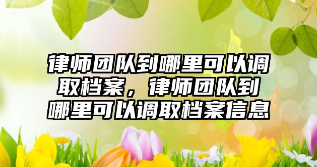 律師團隊到哪里可以調取檔案，律師團隊到哪里可以調取檔案信息