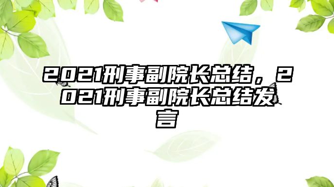 2021刑事副院長總結，2021刑事副院長總結發言