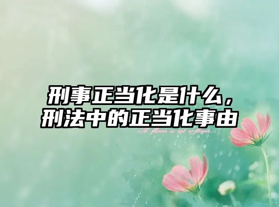 刑事正當化是什么，刑法中的正當化事由