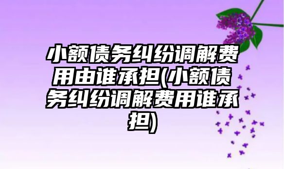 小額債務糾紛調解費用由誰承擔(小額債務糾紛調解費用誰承擔)