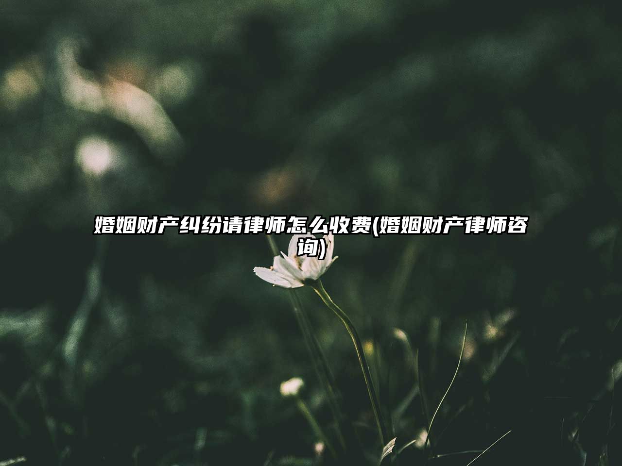 婚姻財(cái)產(chǎn)糾紛請(qǐng)律師怎么收費(fèi)(婚姻財(cái)產(chǎn)律師咨詢)