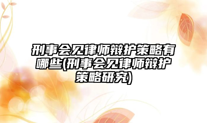 刑事會見律師辯護策略有哪些(刑事會見律師辯護策略研究)