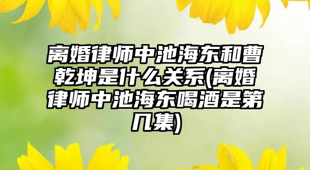 離婚律師中池海東和曹乾坤是什么關系(離婚律師中池海東喝酒是第幾集)