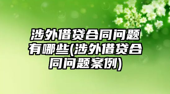 涉外借貸合同問題有哪些(涉外借貸合同問題案例)