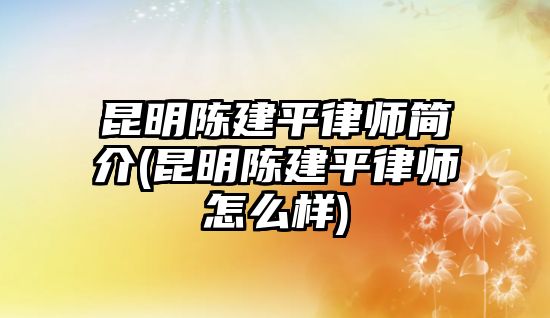 昆明陳建平律師簡介(昆明陳建平律師怎么樣)