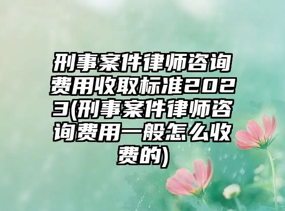 刑事案件律師咨詢費(fèi)用收取標(biāo)準(zhǔn)2023(刑事案件律師咨詢費(fèi)用一般怎么收費(fèi)的)