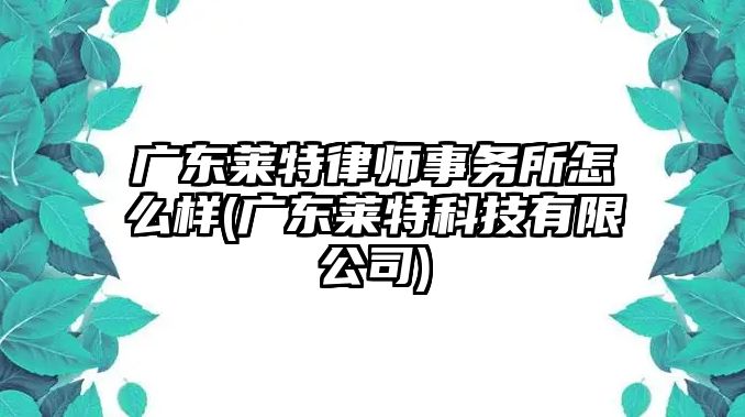 廣東萊特律師事務所怎么樣(廣東萊特科技有限公司)