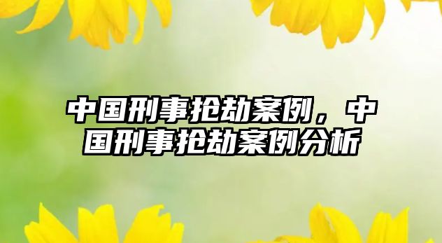 中國刑事搶劫案例，中國刑事搶劫案例分析