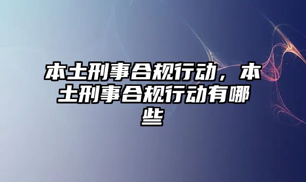 本土刑事合規行動，本土刑事合規行動有哪些