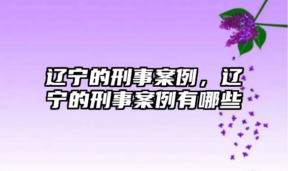 遼寧的刑事案例，遼寧的刑事案例有哪些